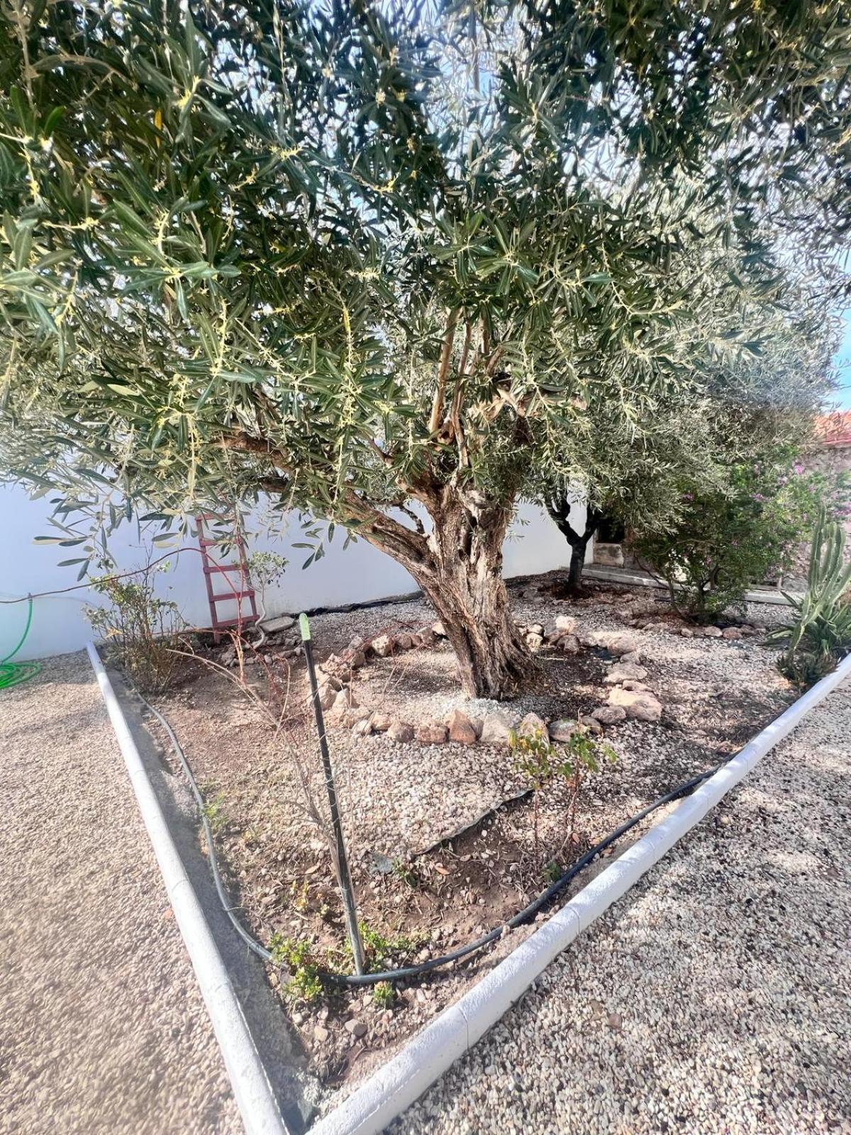 Los Caparroses Casa Mayra מראה חיצוני תמונה